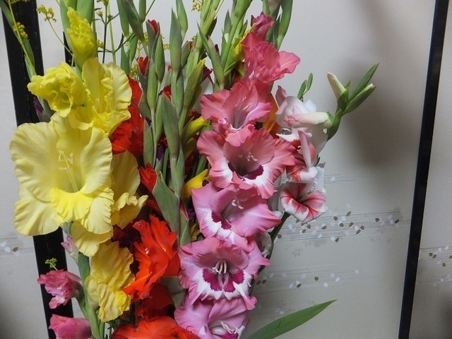 DSCF1560.JPG